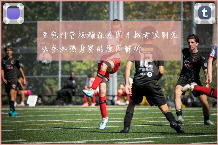 豆包科普杨瀚森或因开拓者限制无法参加热身赛的原因解析